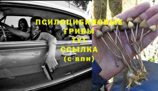 эйфоретик Абаза