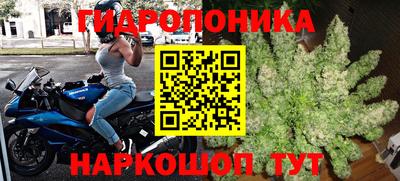 шишки Ликино-Дулёво