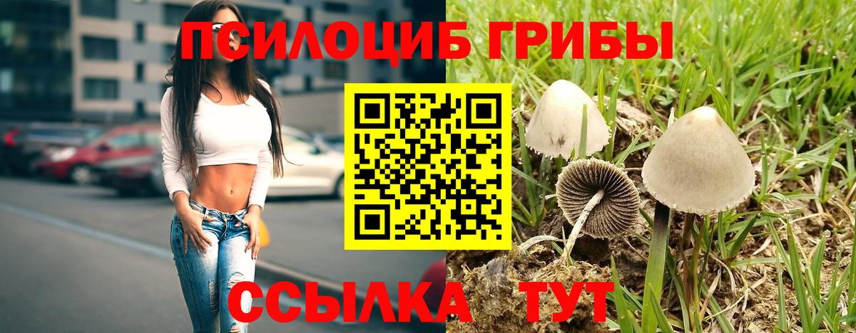 Котлас  A-PVP СОЛЬ кристаллы  Экстази  Мефедрон кристаллы  Героин  Наркошоп  Вход с VPN  COCAIN  ГАШ  Бошки Шишки  Гашиш 