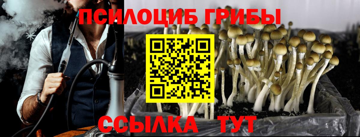 Галлюциногенные грибы мицелий  Вход с VPN  Котлас 